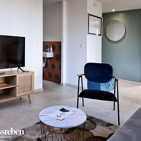 Apartment Le Schlossreben - La Maison Des Vignerons *