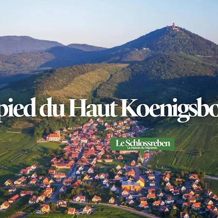 Le Schlossreben - La Maison Des Vignerons Apartment *